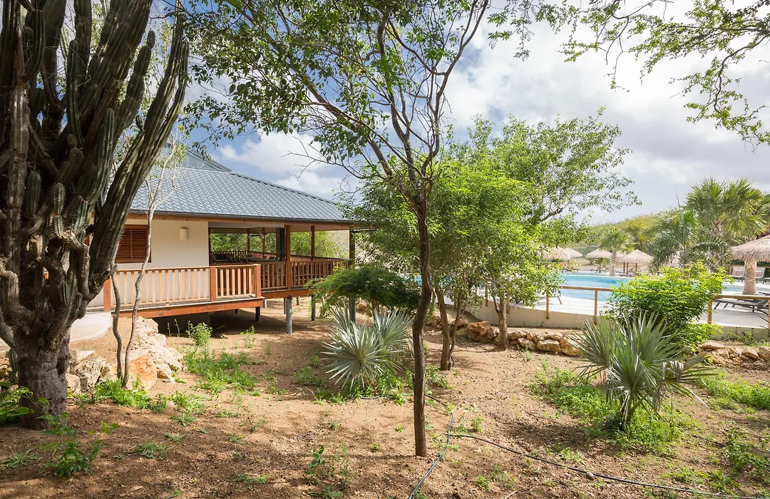 Morena Resort-1
