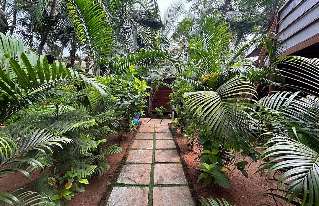 Jardim A Mar-1