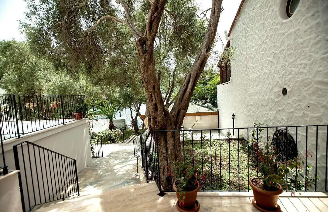 Zena Hotel Bodrum-1