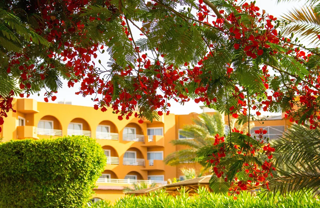 Golden Beach Resort-1