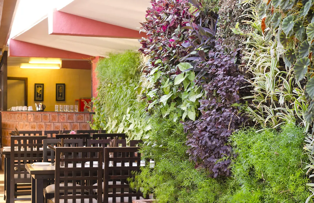 Club Mahindra Saj Mahabaleshwar-1