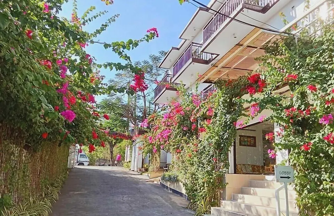 Aozora Seaside Mactan-1