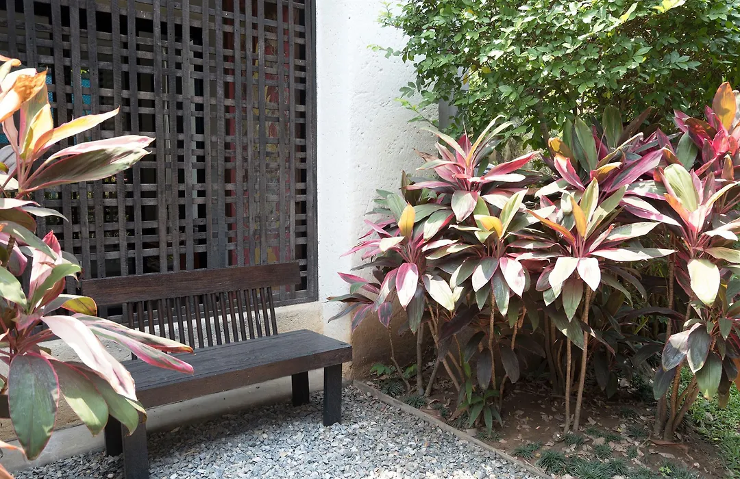 Baan Saen Fang Chiang Mai-1