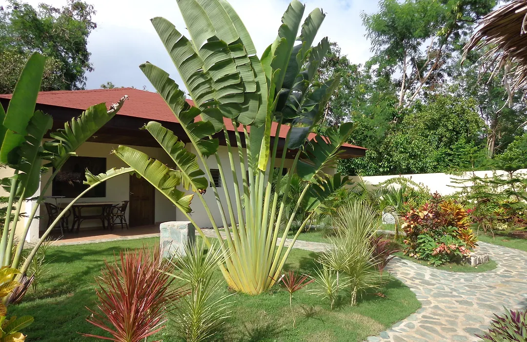 Alona Swiss Resort-1