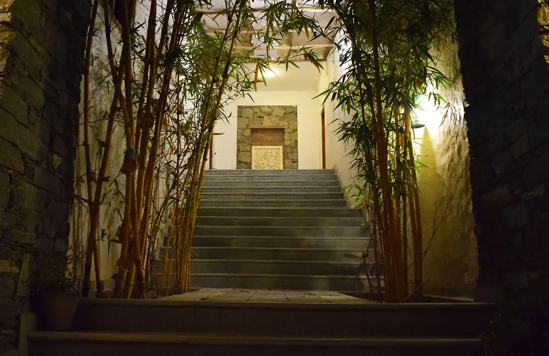 Kumbhalgarh Forest Retreat-1