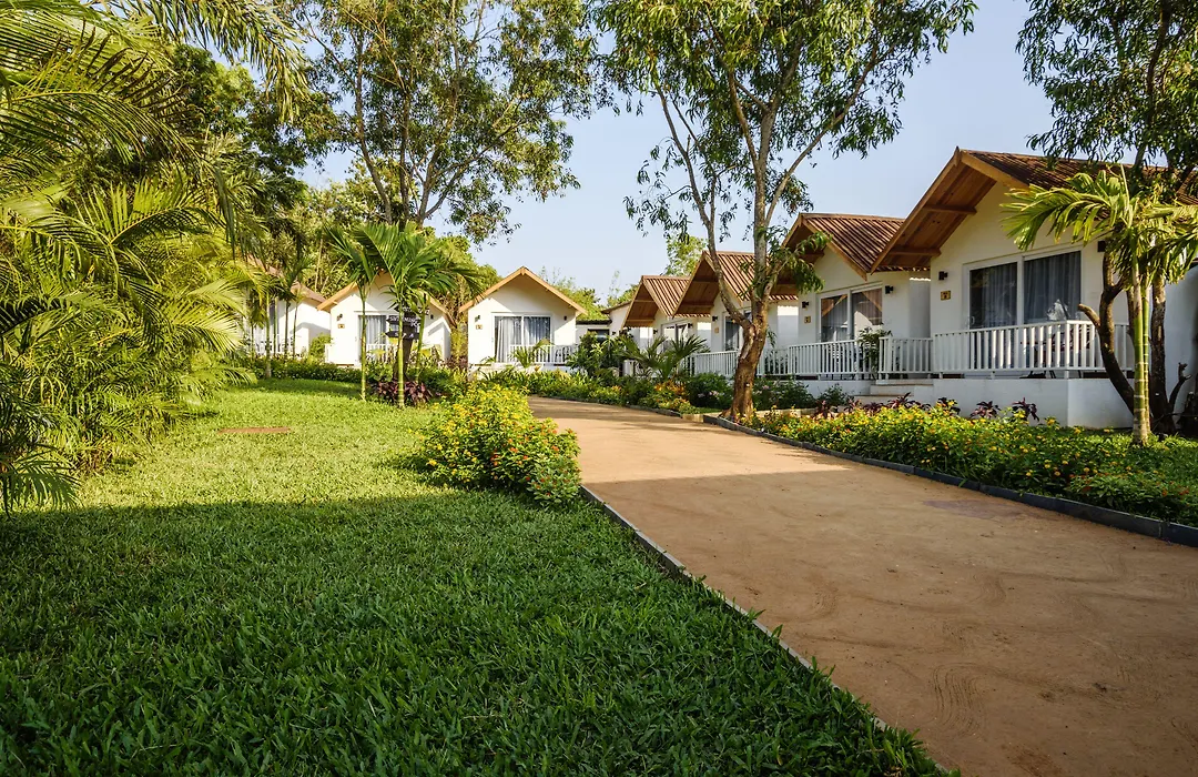 White Wood Resort By Stone Wood Hotels-1