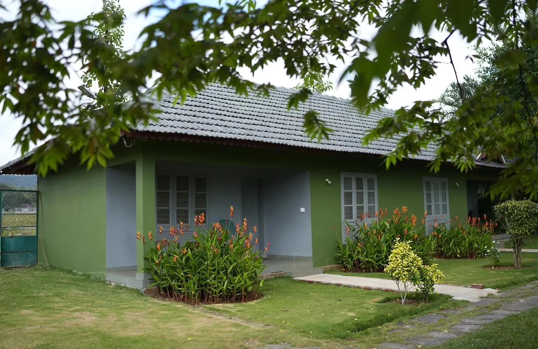 Palm Era Resorts-1