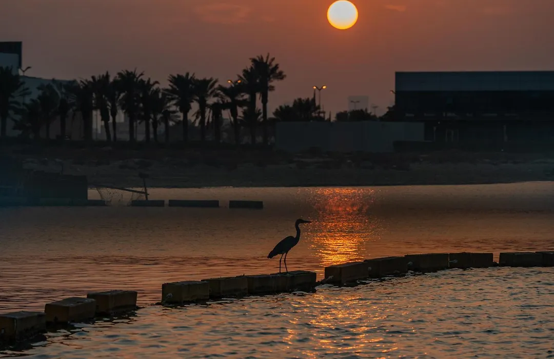 The Grove Resort Bahrain-1