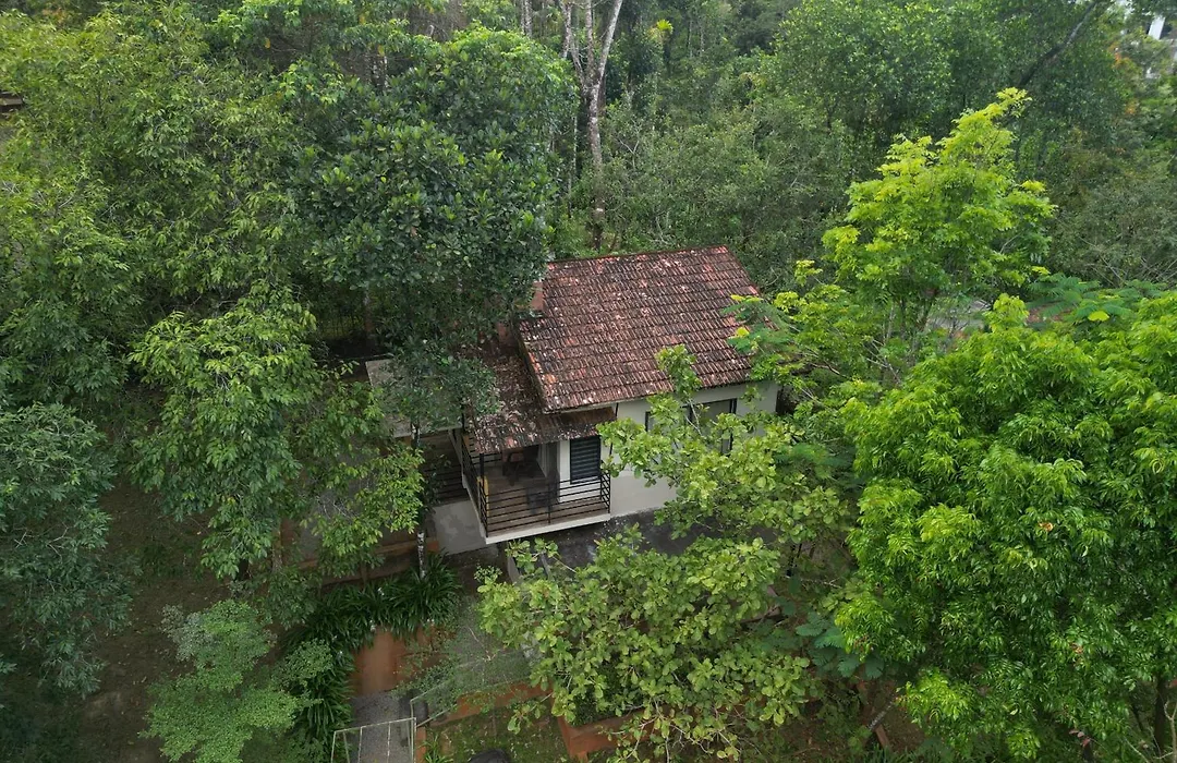 Safari Hills Vythiri-1