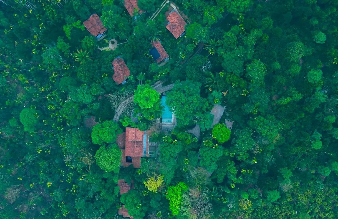 Willow Resorts Wayanad-1