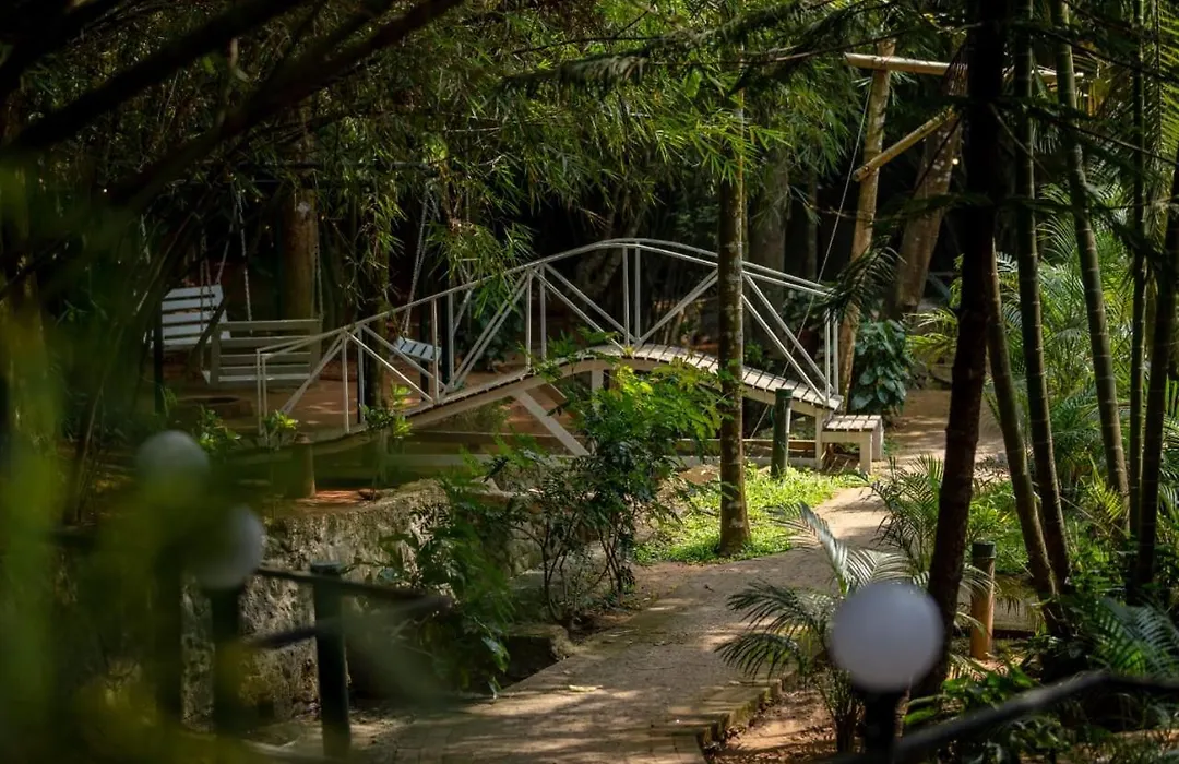 Lakkidi Village Resort Wayanad-1