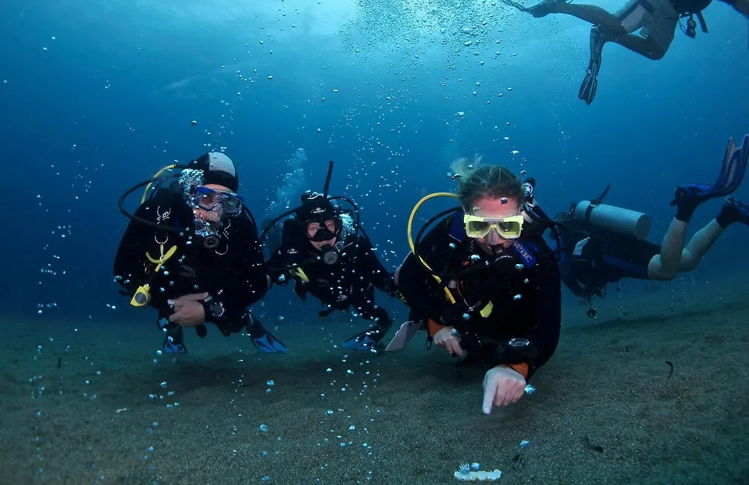 Liquid Dive Resort-1