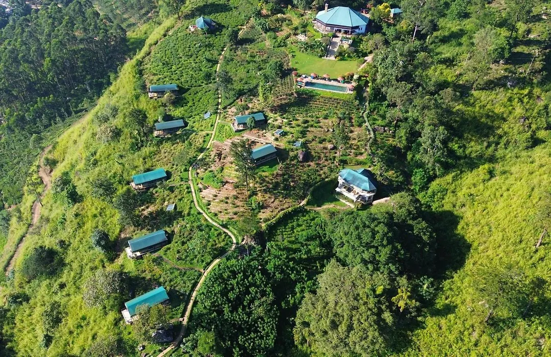 Madulkelle Tea And Eco Lodge-1