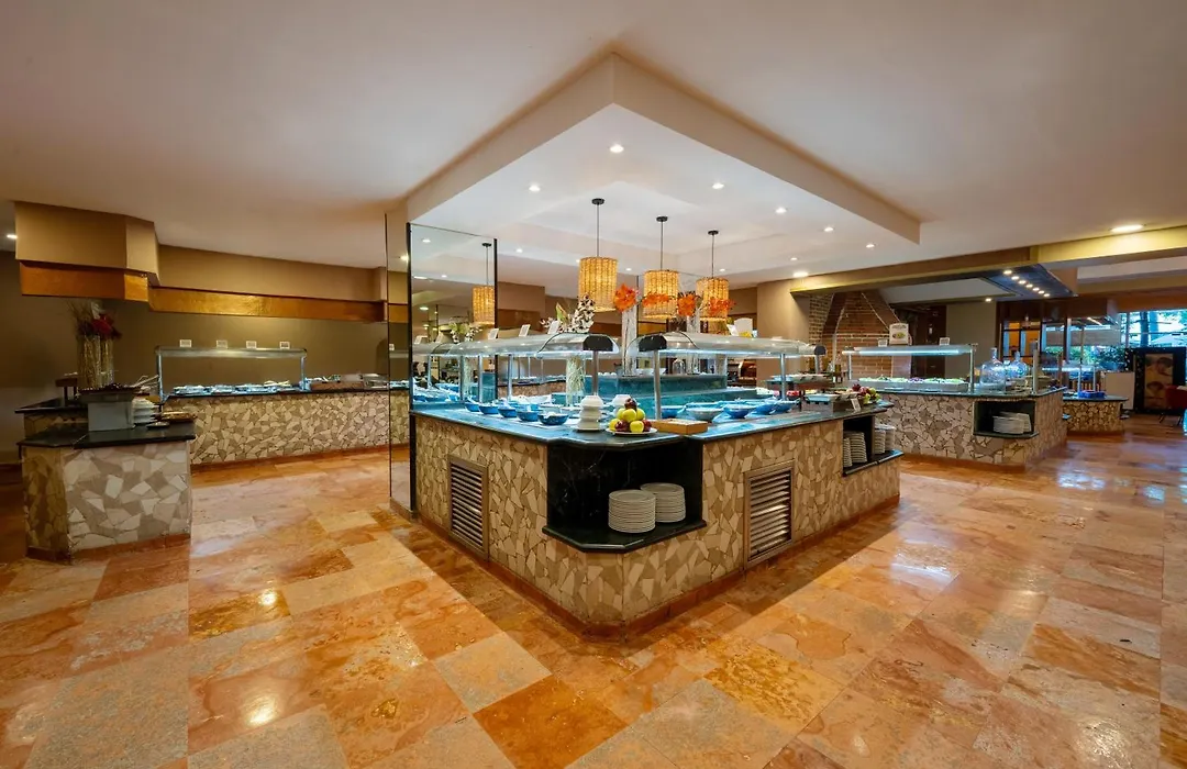 Oasis Palm-1