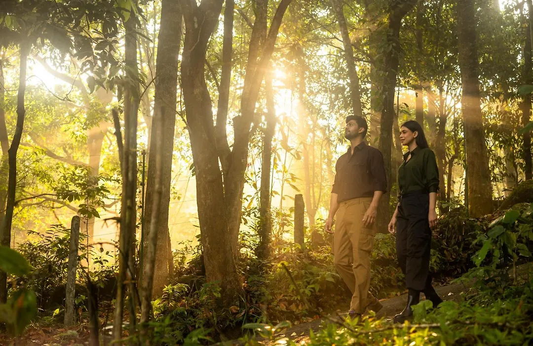 Wayanad Wild - A Cgh Earth Experience-1