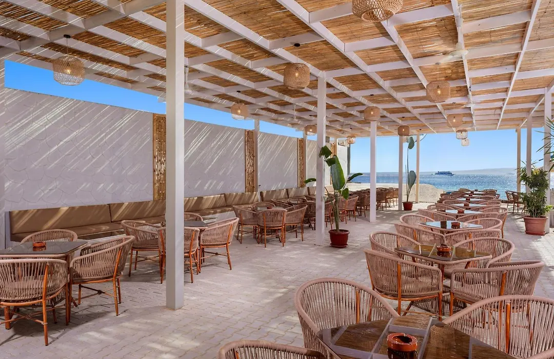 Seagull Beach Resort - Families And Couples Only-1