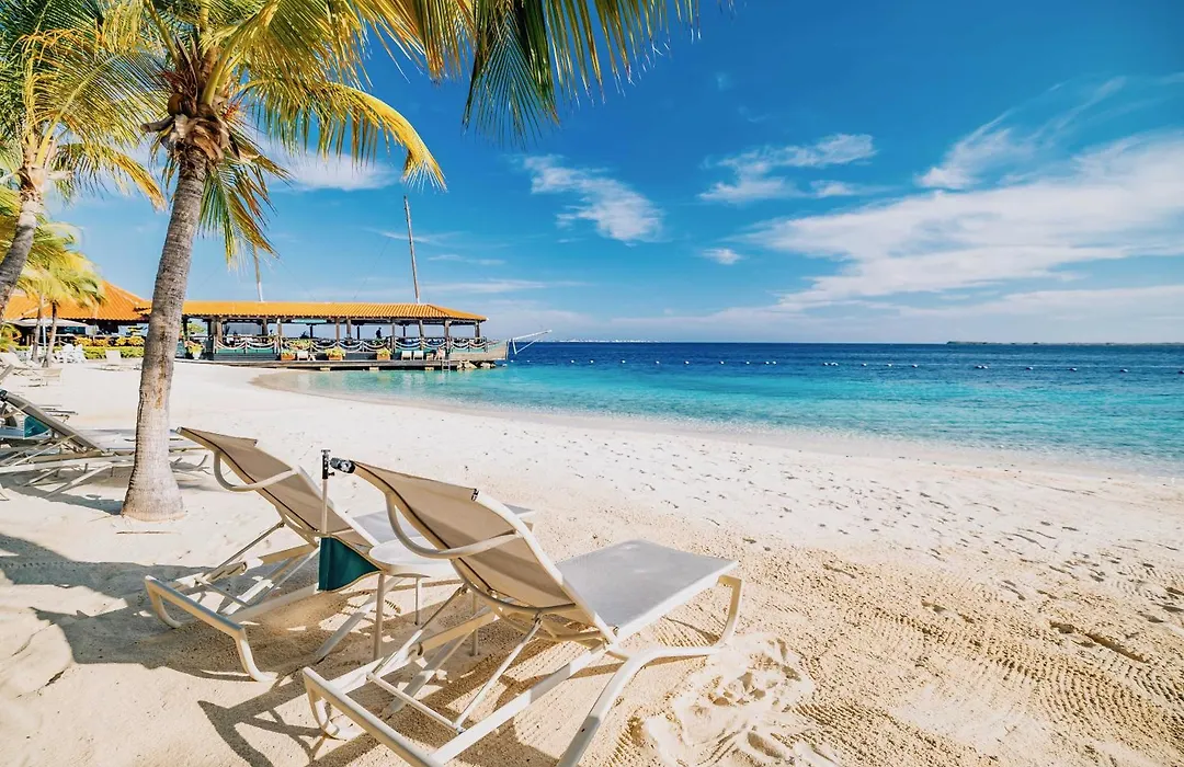 Harbour Village Beach Club-1