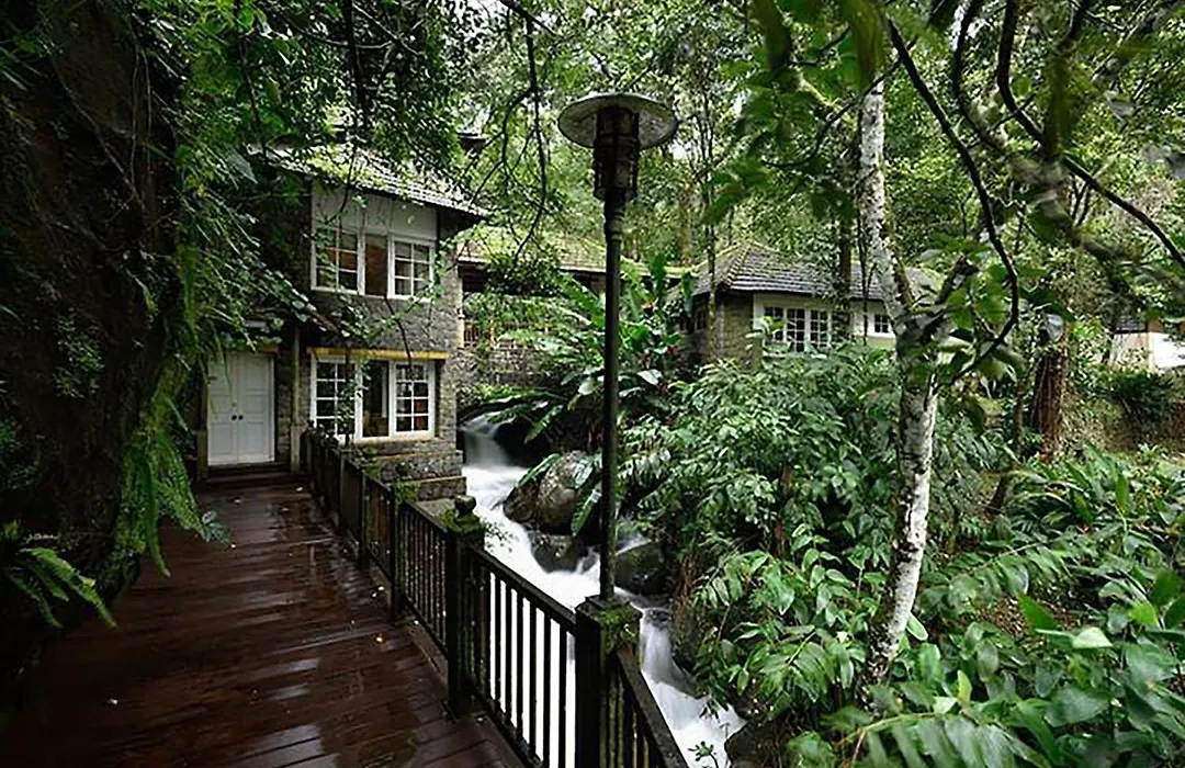 Mystic Mayapott, Thekkady-1