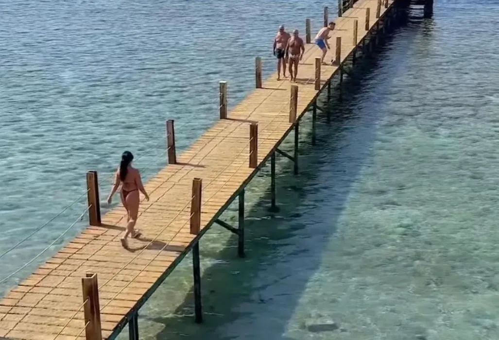 Coral Private Harem-1