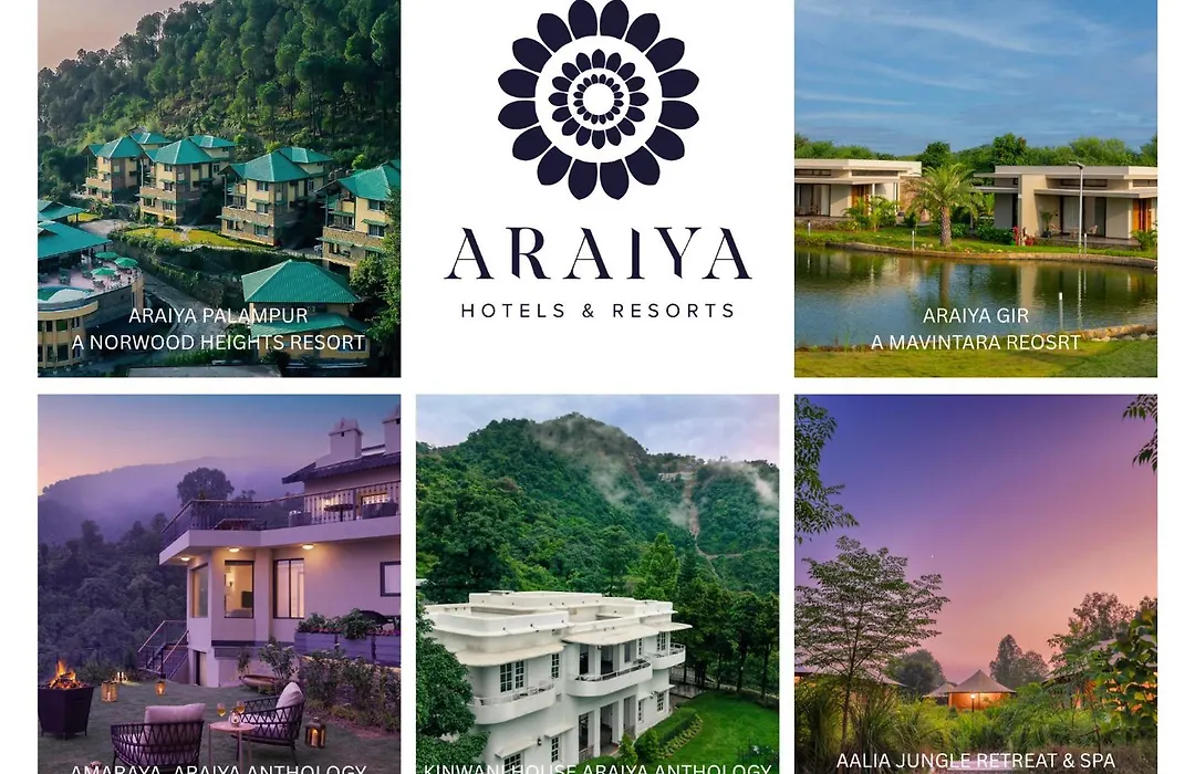 Araiya Palampur-1