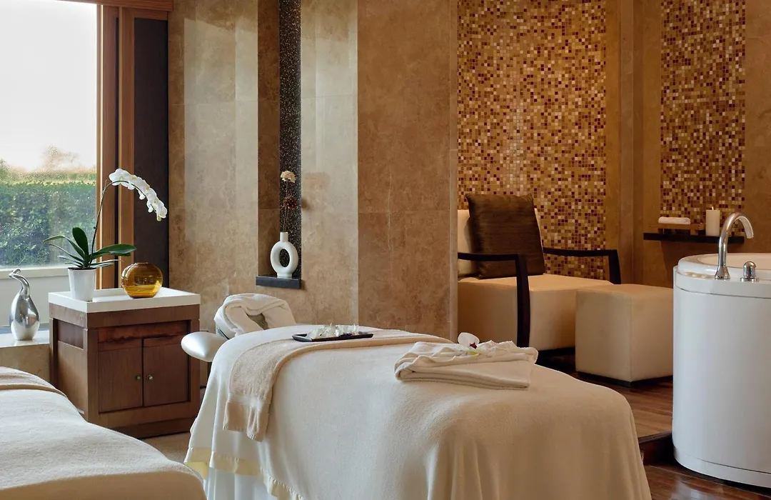 Melia Desert Palm Member Of Melia Collection-1