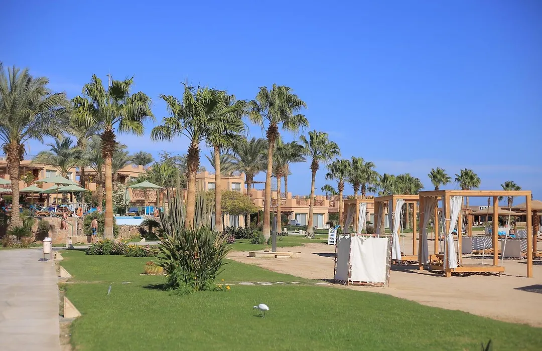 Shams Prestige Abu Soma (Adults Only)-1