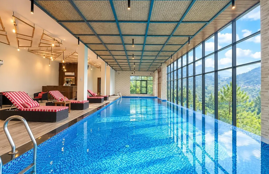 Jungle Lodge Resort & Spa-1