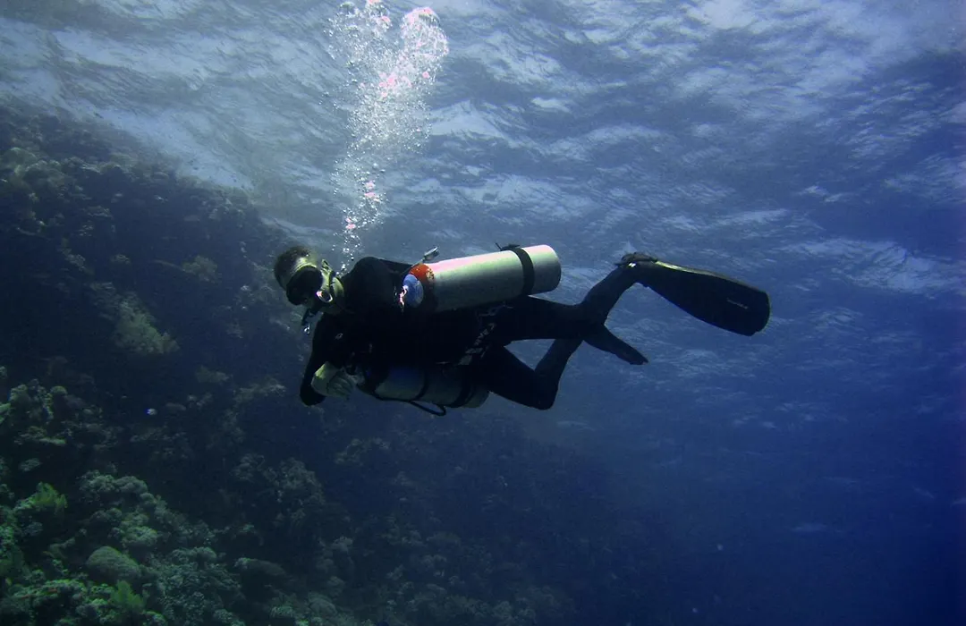 Oonas Dive Club-1