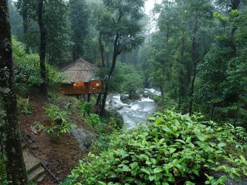 Blue Ginger Wayanad Resorts-1