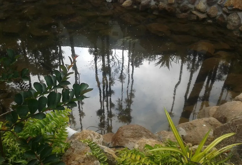Happy Nest Yercaud-1