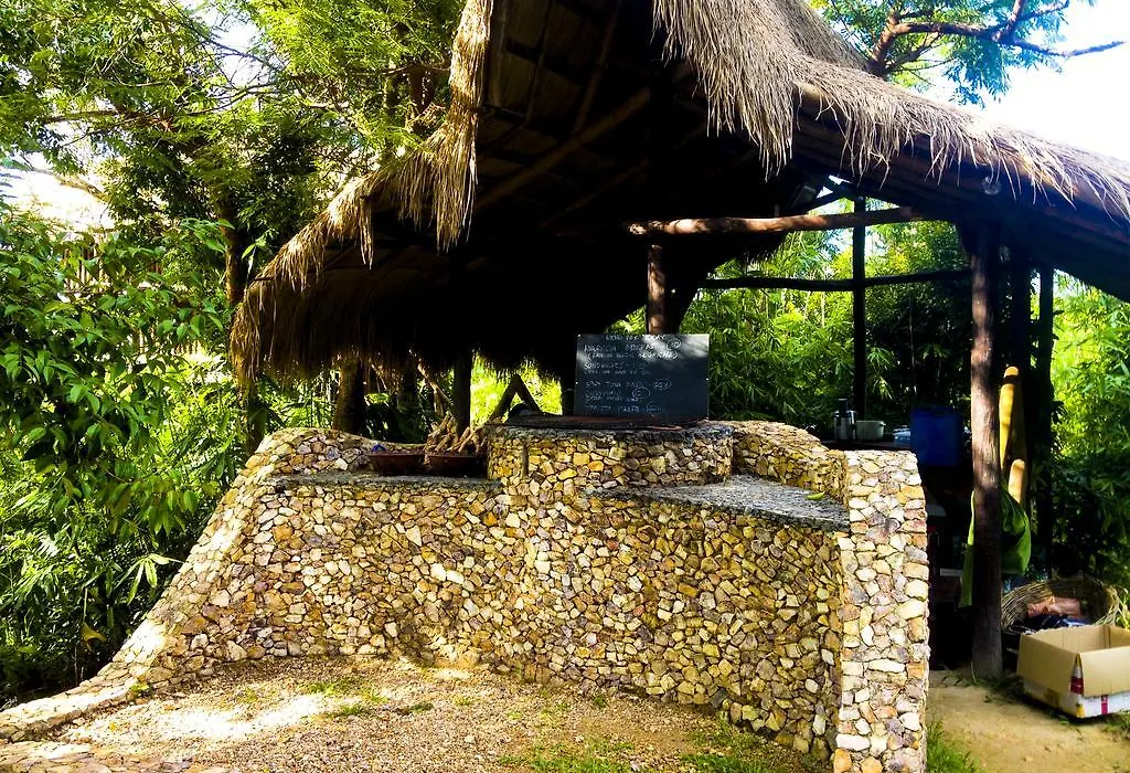 Sanctuaria Treehouses-1