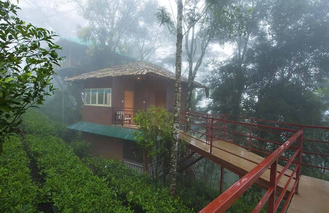 Dream Catcher Resort-1