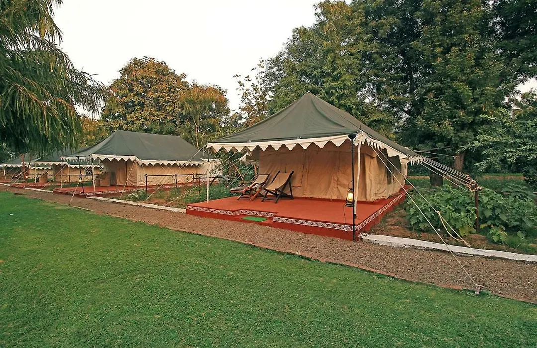 Bhadrawati - A Riverside Safari Lodge Ranthambore-1