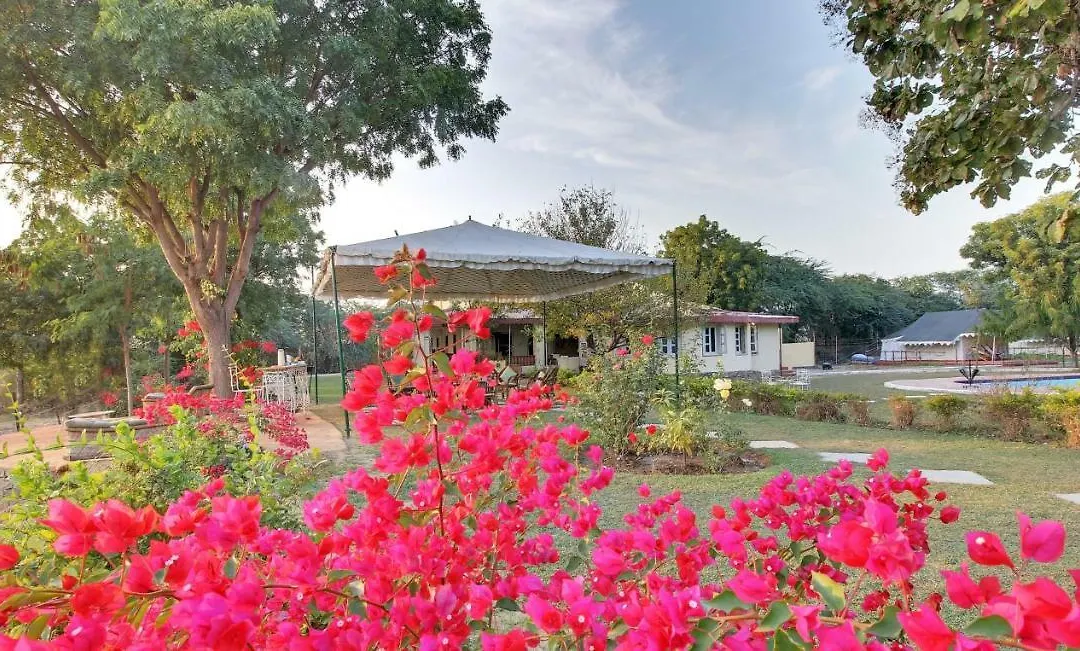 Bhadrawati - A Riverside Safari Lodge Ranthambore-1