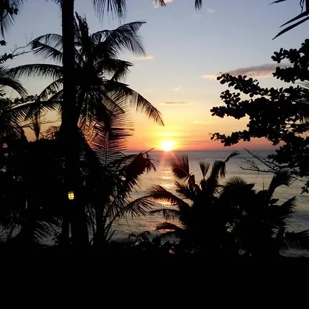 Paradise Palms-2