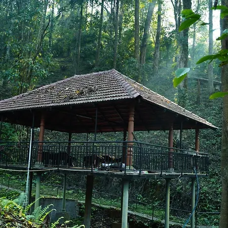 Qexperiences Coorg-3