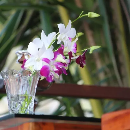 Agonda Wellness-3