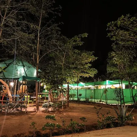 Paradisestay Auro Jungle Resort-3