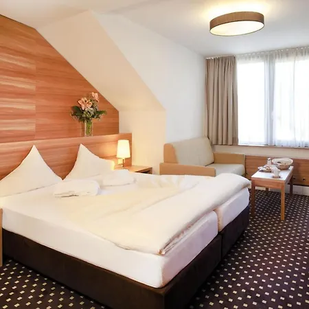 Hotel Bon Alpina-2