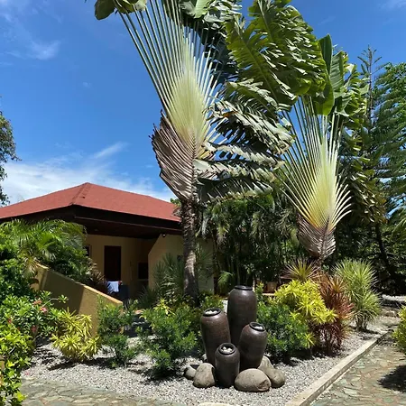 Alona Swiss Resort-3