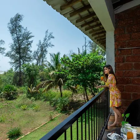 Lotus An Eco Beach Resort Dapoli Murud-2