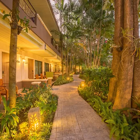 The Viridian Resort Patong-3