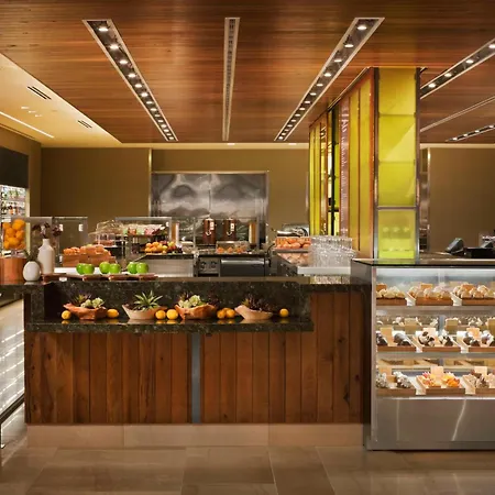 Hilton Anatole-2