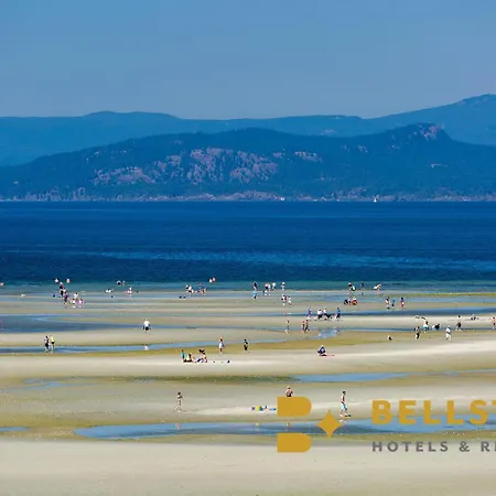 The Beach Club Resort — Bellstar Hotels & Resorts-2