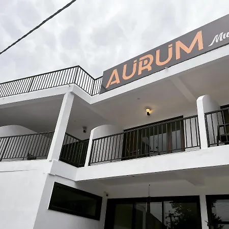 Aurum Resorts Mussoorie-2