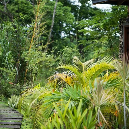 Thea Resort & Retreats - Santa Teresa-2