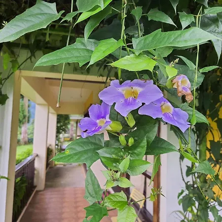 Chamong Chiabari Mountain Retreat-2