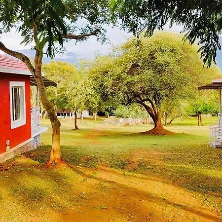 The Wild Fo'Rest Resorts-3