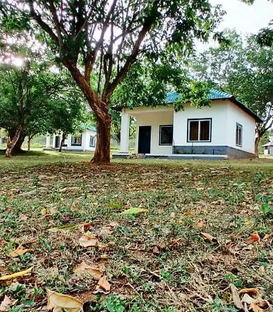 The Wild Fo'Rest Resorts-2