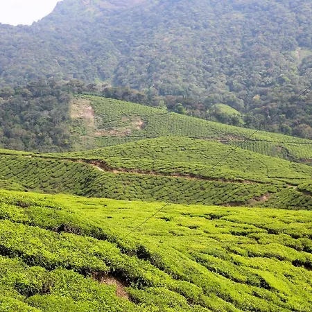 Green Garden Ayurvedic Resort & Green House-2